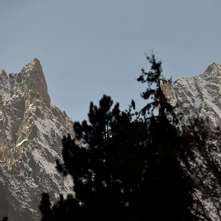 Chanton * Курмайор