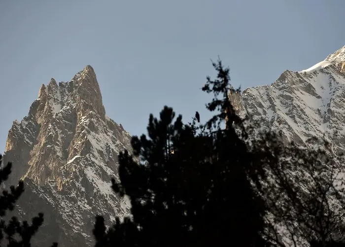 Chanton * Курмайор